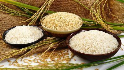 واردات برنج ممنوع شد!