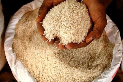 بازار برنج تنظیم نشد