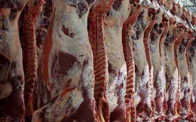 عوامل افزایش قیمت گوشت قرمز در بازار 