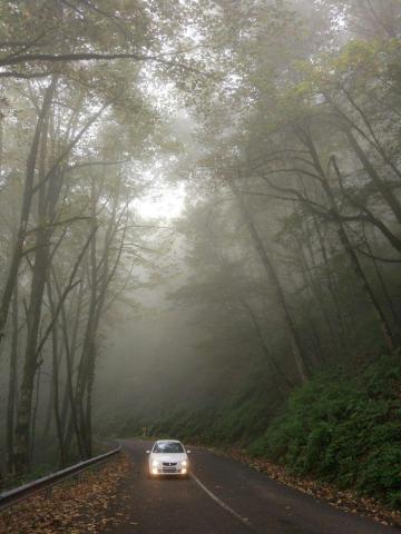 زیبایی محض یک جاده در ایران/عکس