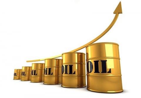 قیمت نفت در سال 2014؛ 200 دلار