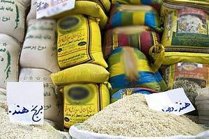 واردات برنج بیش از حد نیاز کشور!