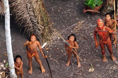  حقایق عجیب و باورنکردنی درباره جنگل آمازون