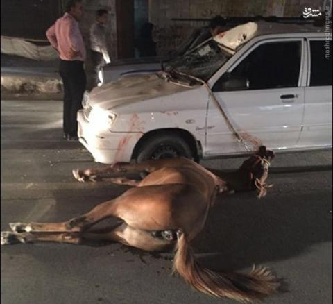 تصادف دردناک یک اسب با پراید+عکس