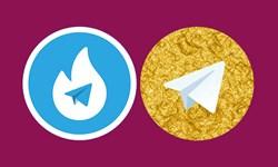 شانس دوباره به نسخه های وطنی تلگرام