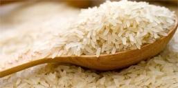 واردات برنجهای لاستیکی و پلاستیکی، شایعه یا واقعیت؟!
