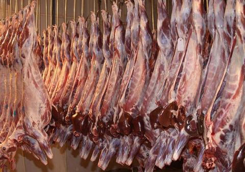 گوشت گوسفندی در سراشیبی قیمت