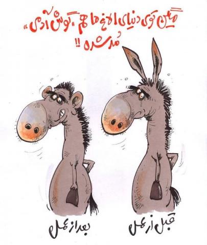 الاغ ها دنبال «گوش آدمی» هستند/کاریکاتور