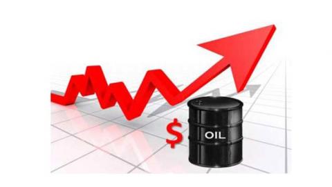 نفت گران می شود