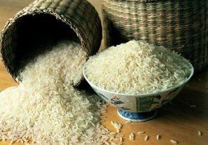 آمار عجیب از واردات برنج های هندی و پاکستانی