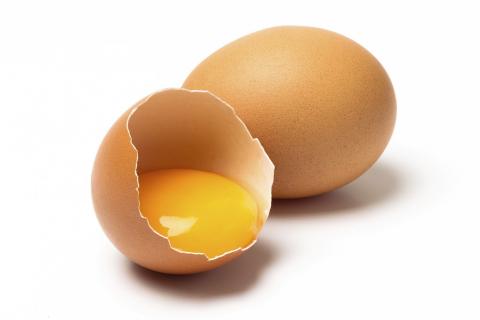 تخم مرغ دیگر صادر نمی شود!