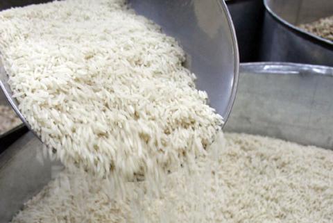 سرنوشت برنج های آلوده وارداتی