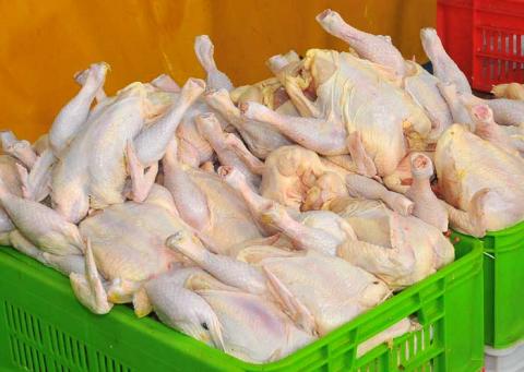 روز اول عید مرغ نخرید